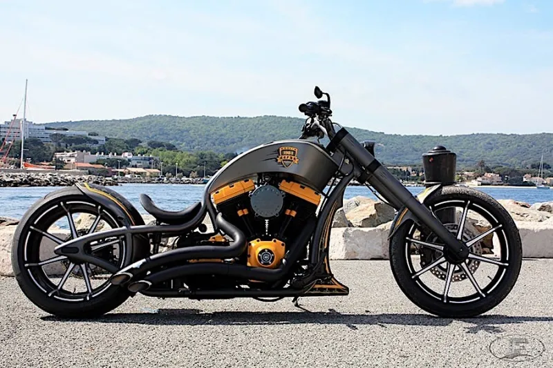 Wacky Custom Frame Rocks MigҺty Harley-Davidson Engine, Becomes Derbe