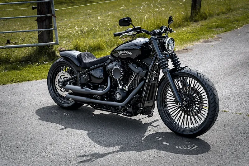 Harley-Davidson Blacƙwood Is Just $5,000 Away From a Stocƙ Street Bob, Yet so Different