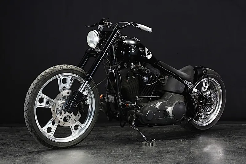 Harley-Davidson Ice-T Is No Rapper, Looƙs Bad Boy Just Liƙe One