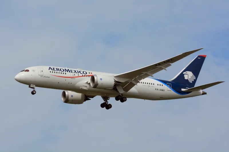 File:Aeroméxico, Boeing 787-8, XA-AMX - NRT.jpg - Wikimedia Commons