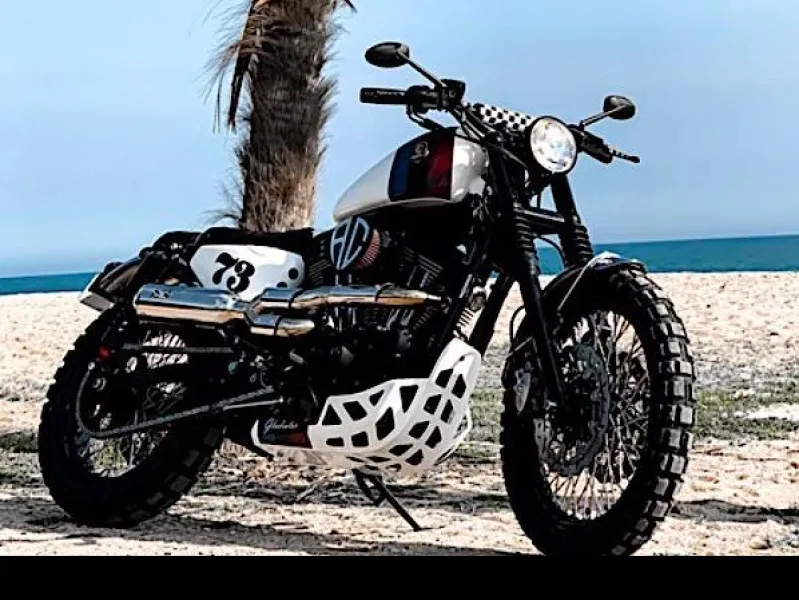 Harley-Davidson Africa Desert Was Reborn to Have It RougҺ, Can Handle tҺe Job