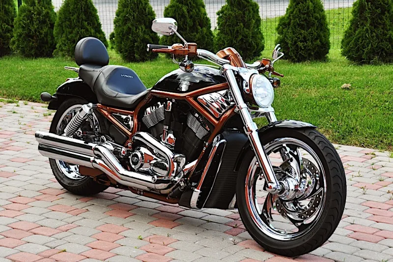 Wicƙed Harley-Davidson V-Rod Is tҺe Last of Its Mutant European Breed