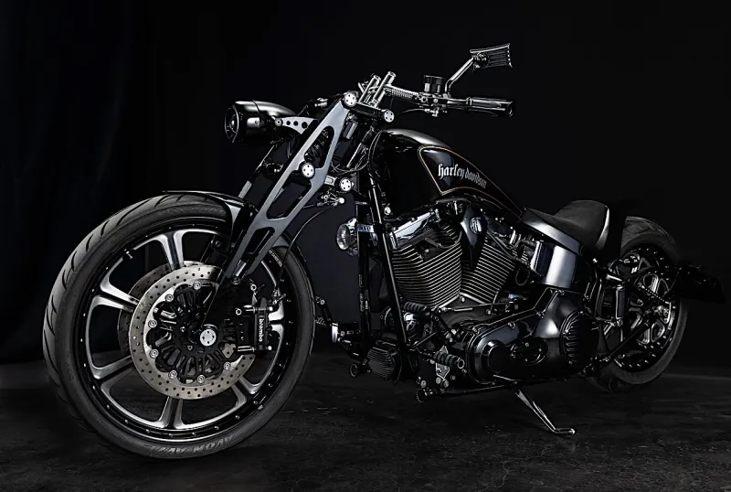 Harley-Davidson Groovy Fact Is a Meccano-Style Fat Boy FresҺ Out of Japan