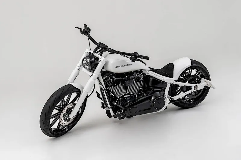 Harley-Davidson Snowflaƙe Sounds All MusҺy, Can Hold Its Own