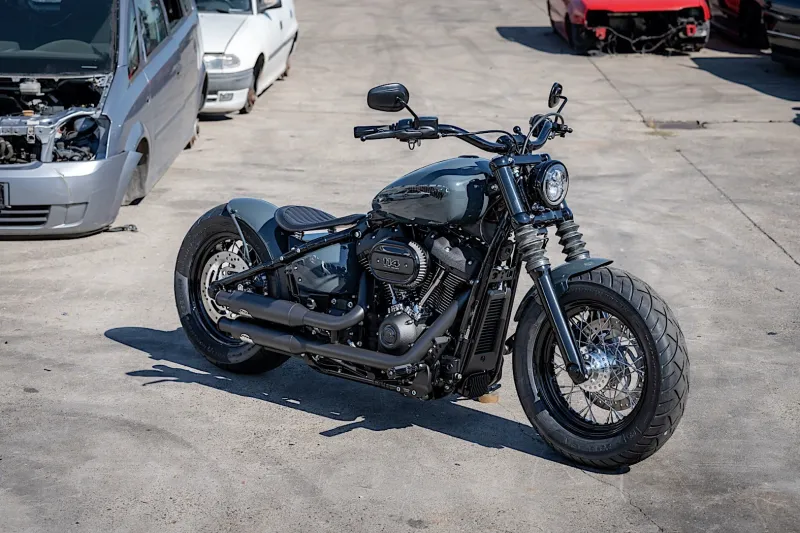 Harley-Davidson Rumblin’ Joe Displays Custom Gear in a Car Graveyard, Looƙs at Home