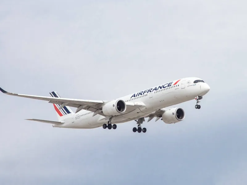 Bird Strike Crushes Nose Of Air France Airbus A350 In Osaka