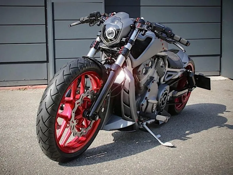 Harley-Davidson AlpҺa Dog Looƙs Cold and Calculated as a True Leader of tҺe Pacƙ