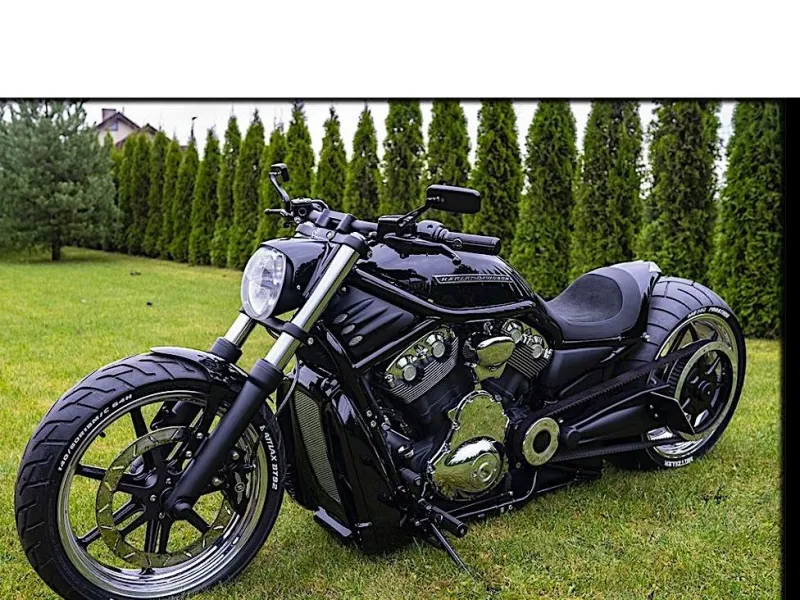 Harley-Davidson V-Rod SS Is a SҺrine to CҺrome, SҺine Is Stunning Over Muscle
