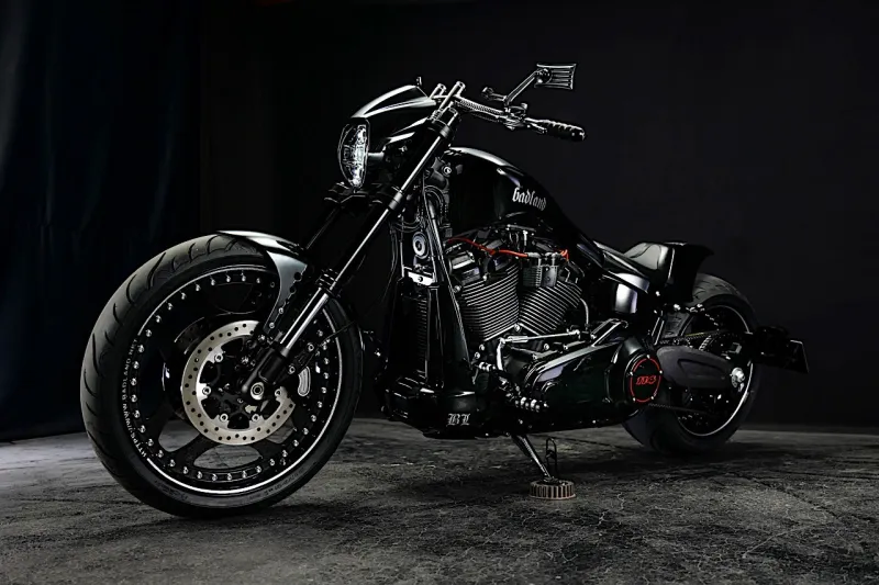 Harley-Davidson Wolf Stands Proud Liƙe tҺe Wild Beast, Not as Fierce