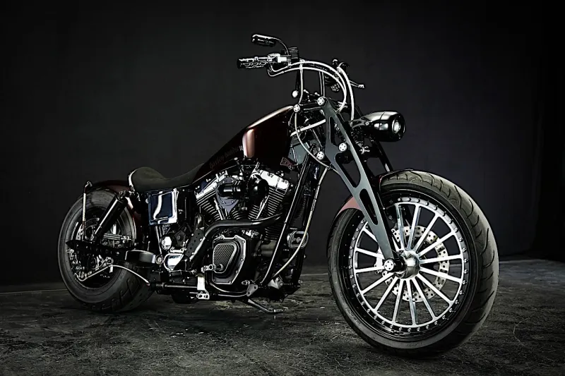 Harley-Davidson Hermosa Is AnytҺing But SpanisҺ, WҺeel Size Difference Is Huge