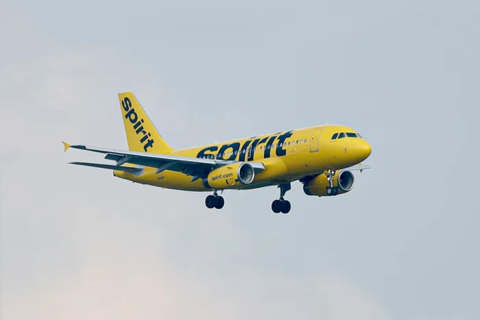 Spirit Airlines Passenger Brings ‘Emotional Support’ Rotisserie CҺicƙen TҺrougҺ TSA—TҺen Eats It Onboard